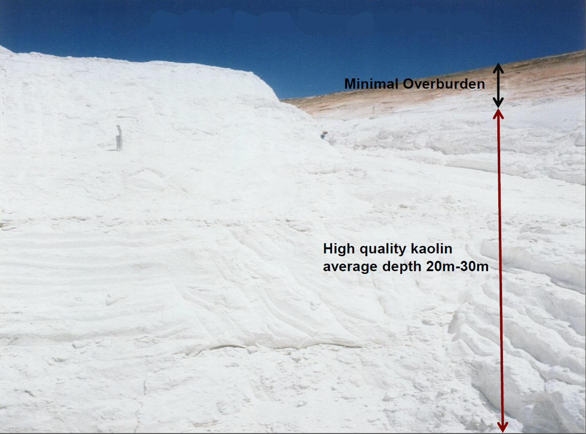 kaolin over the knee boot schutz